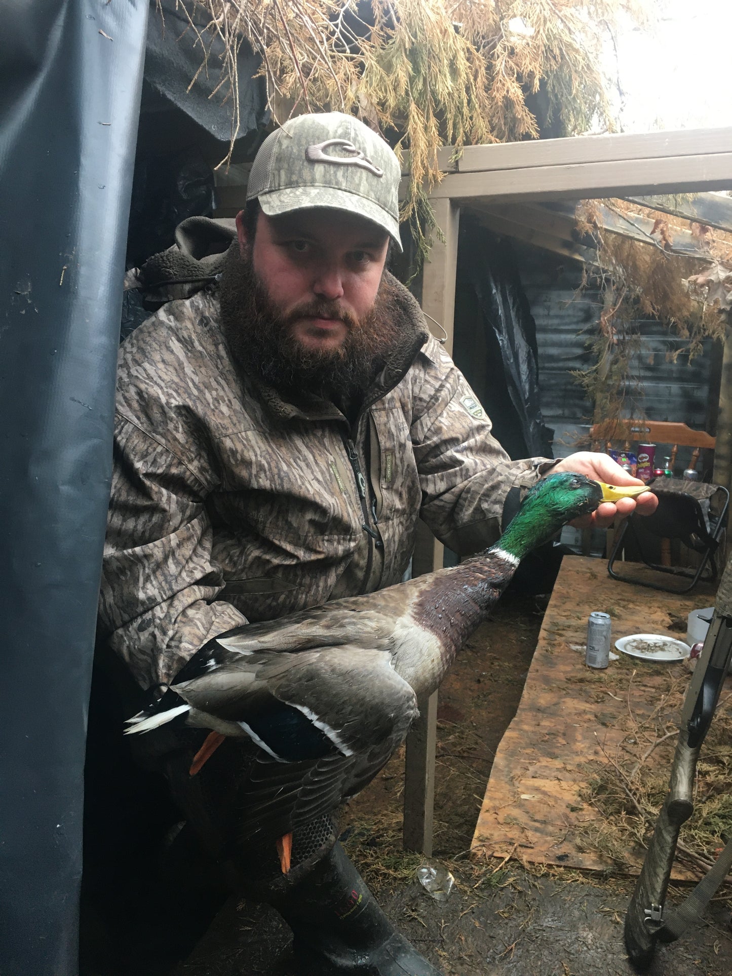 Reelfoot lake TN area duck hunts .