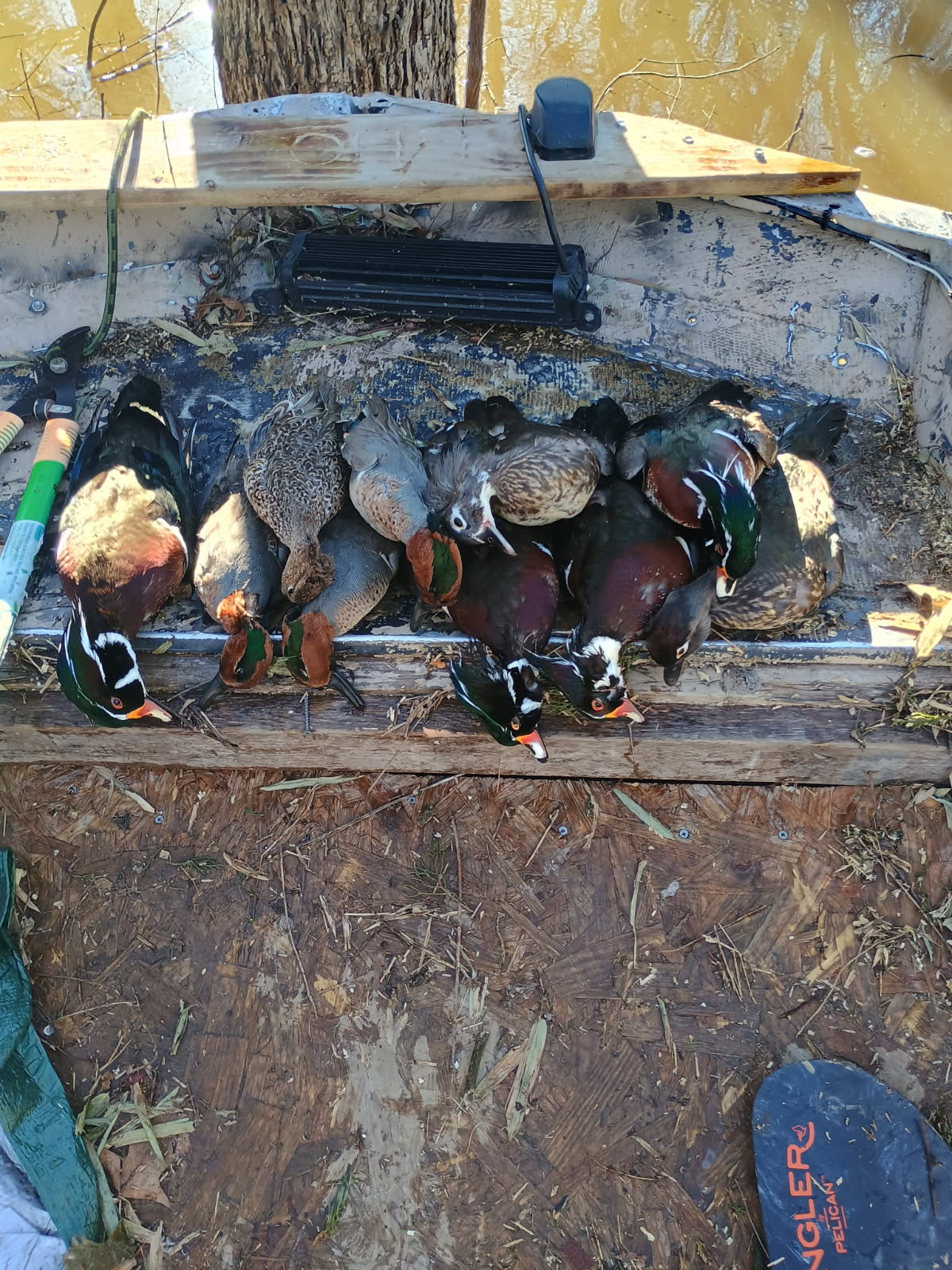 Reelfoot lake TN area duck hunts .