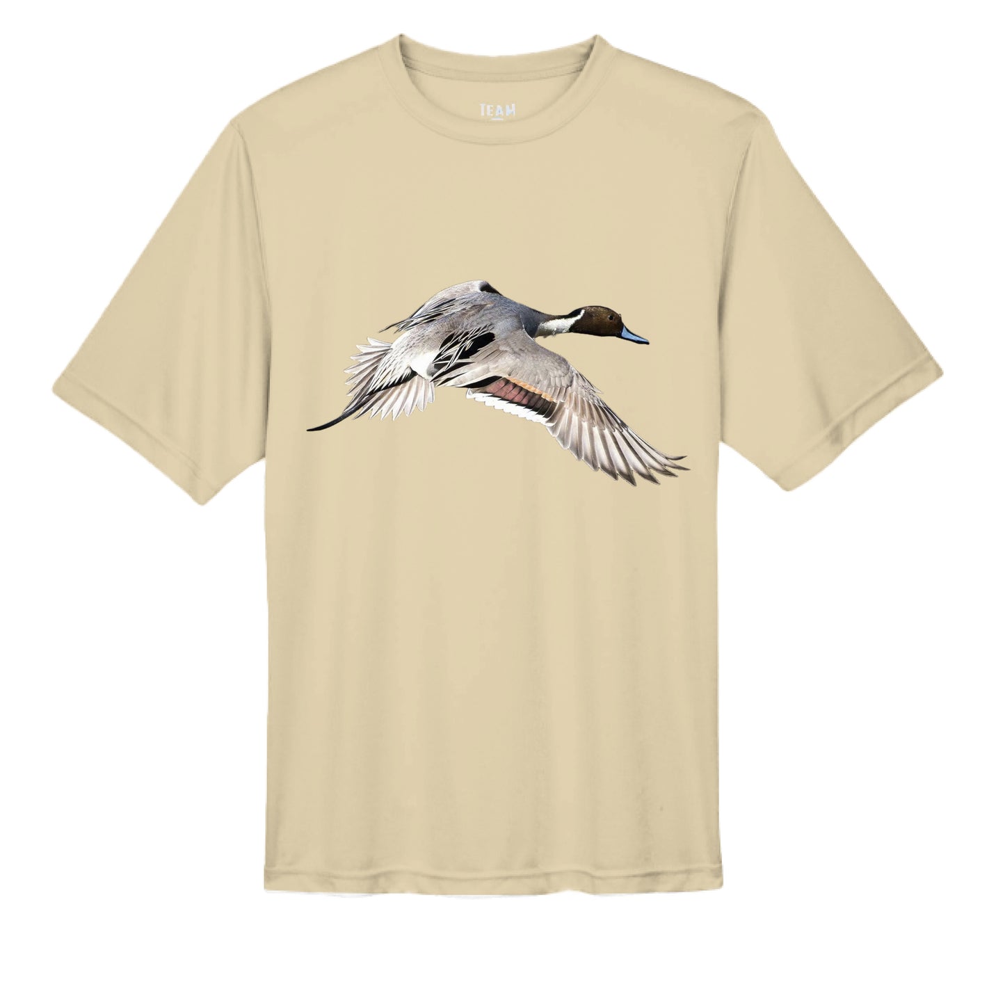 SPORT VEGAS GOLD - FRONT