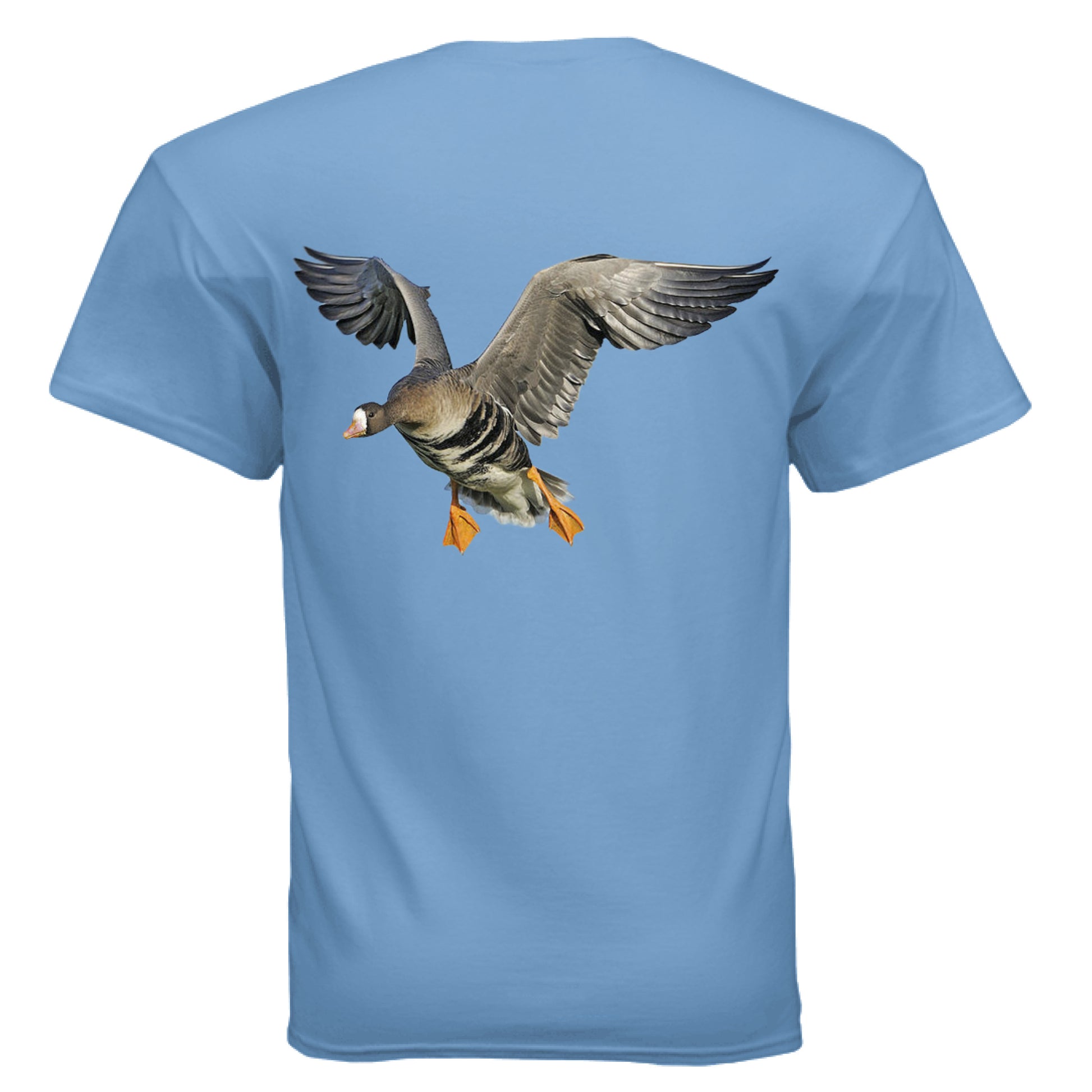 CAROLINA BLUE - BACK