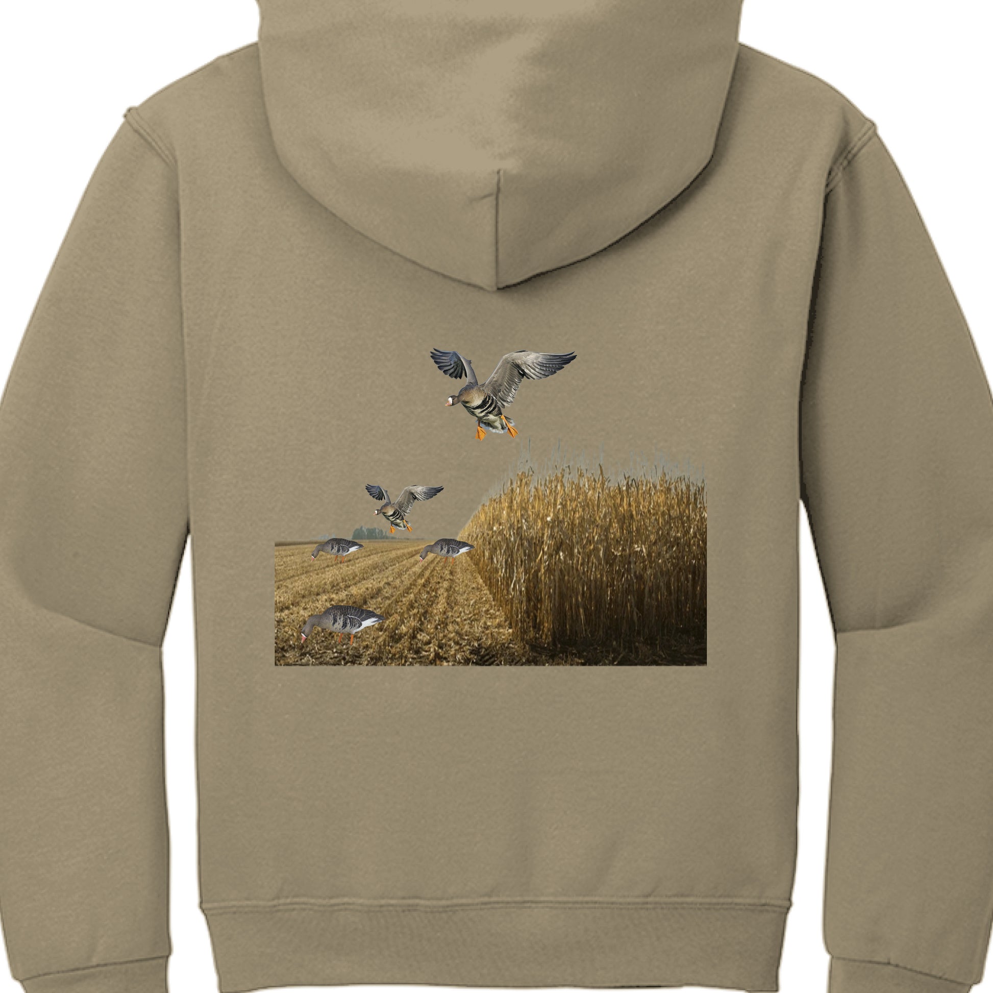 KHAKI - BACK