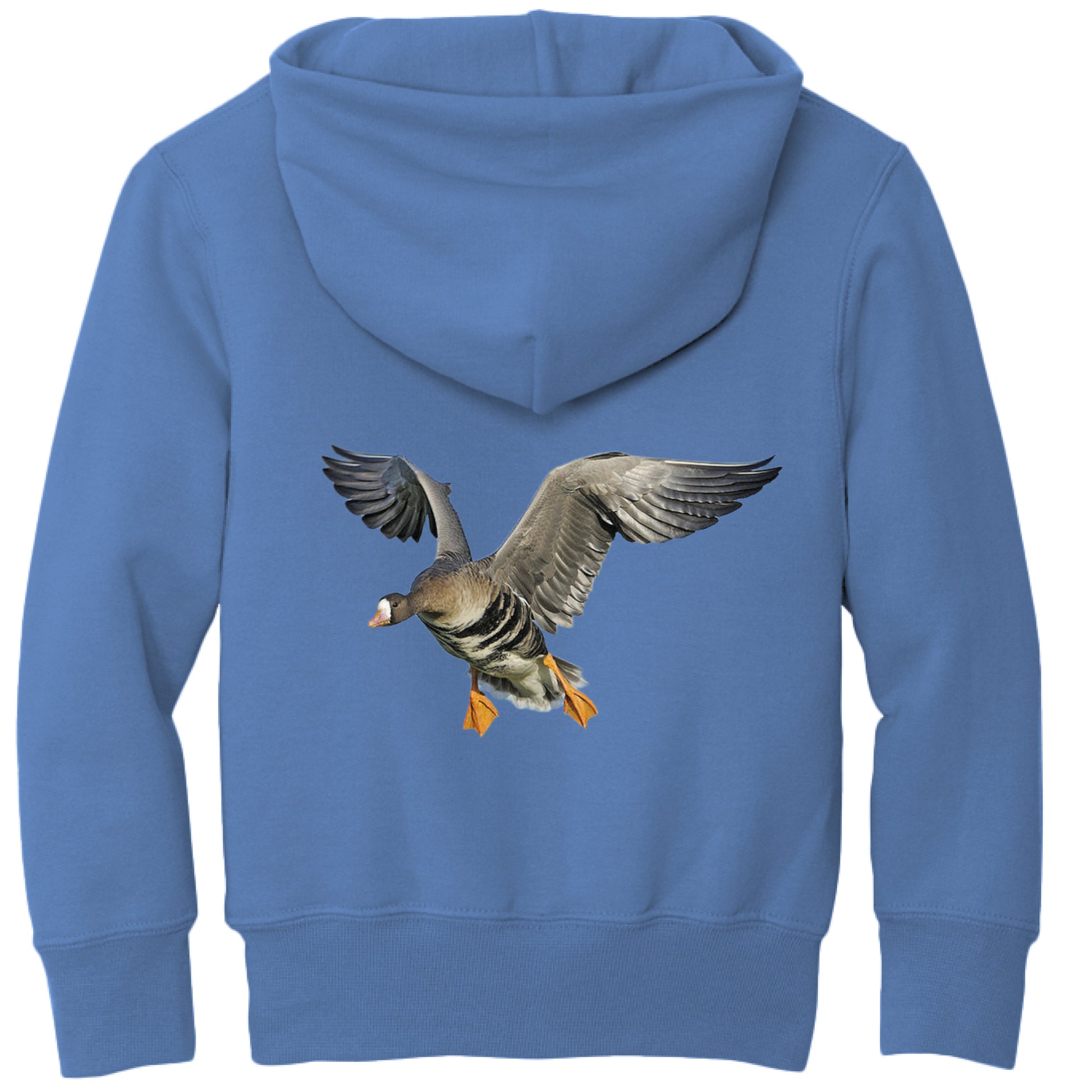 Carolina Blue - BACK